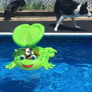 Meet your Posher, Carol